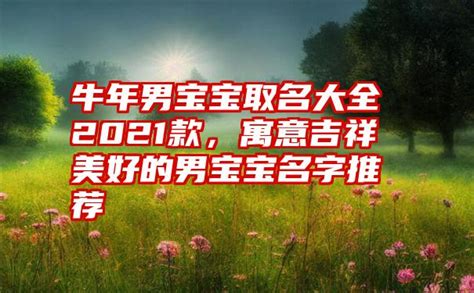 2021牛年出生的婴儿起名大全_好听的名字大全,第3张